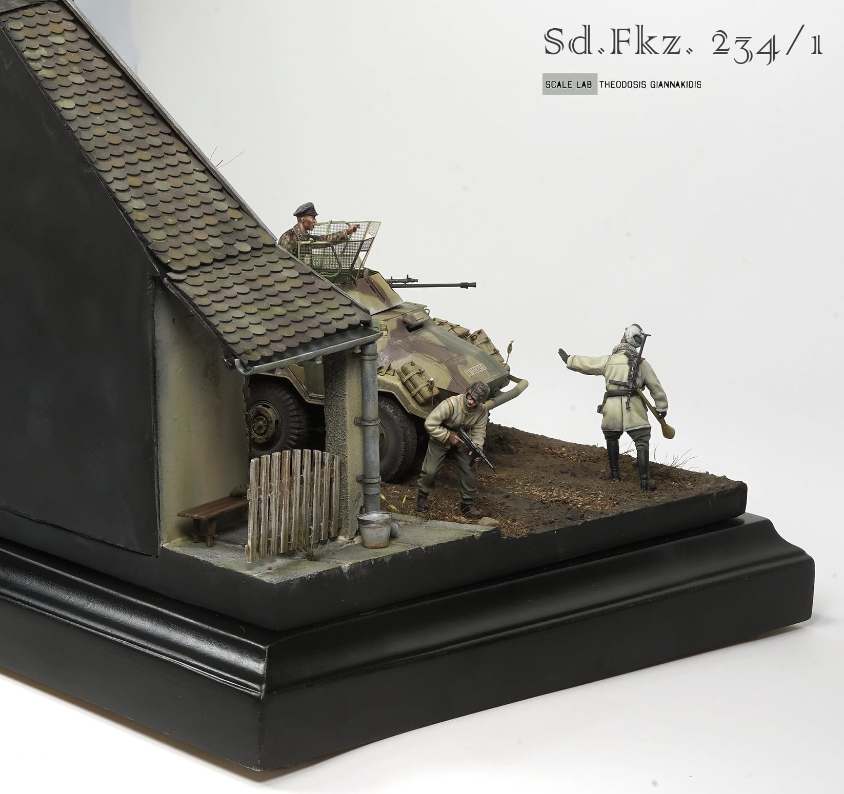 Sdkfz 234/1 (w/2cm Gun) 14 DSC4809 copy